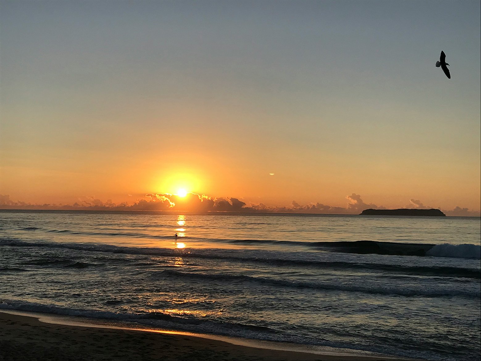 sunrise-praia-mole-florianopolis Photo by <a href="https://unsplash.com/@provasi?utm_content=creditCopyText&utm_medium=referral&utm_source=unsplash">Gustavo Provasi</a> on <a href="https://unsplash.com/photos/beach-at-sunset-KemUDEb6FvY?utm_content=creditCopyText&utm_medium=referral&utm_source=unsplash">Unsplash</a>